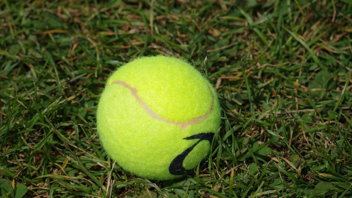 यूएस ओपन: ओसाका की शानदार जीत, सिनर का दबदबा और वीनस की सेरेना से खास अपील